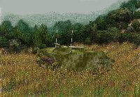 Tank in a Field - Normandy 1944