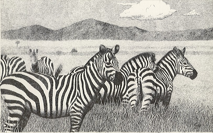 Zebras #2
